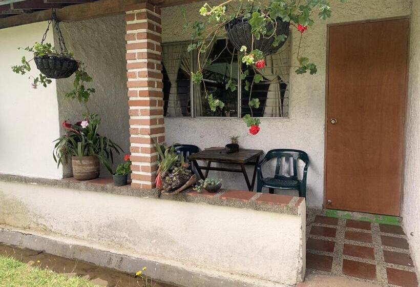 Al Bosque Hostel & Glamping