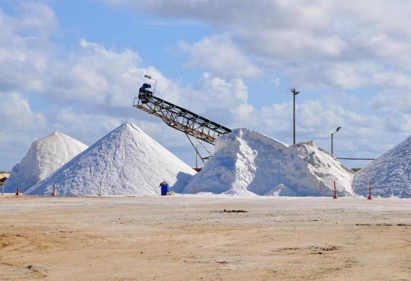 هاستل Bona Vida