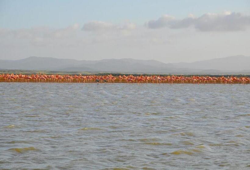 هاستل Bona Vida