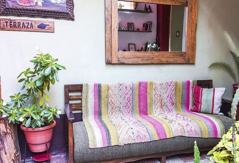 هاستل Eco Home View   Guest House
