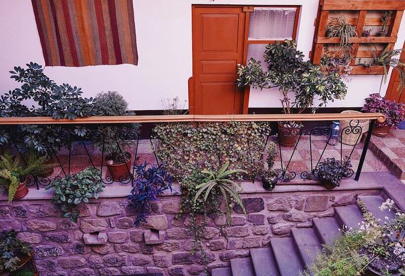 هاستل Eco Home View   Guest House