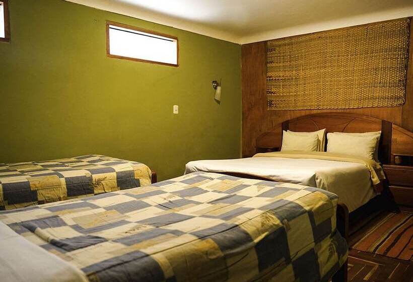 هاستل Eco Home View   Guest House