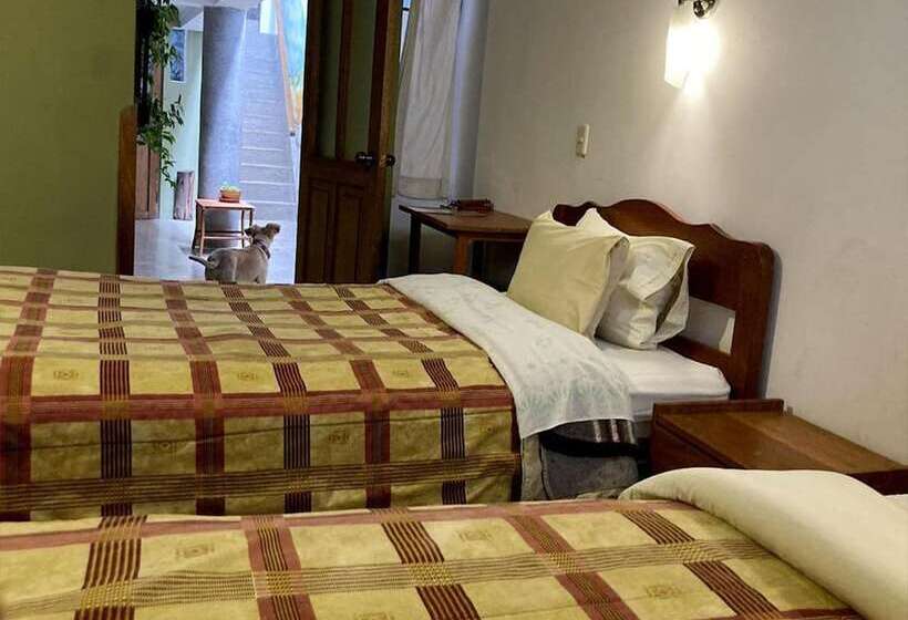 هاستل Eco Home View   Guest House