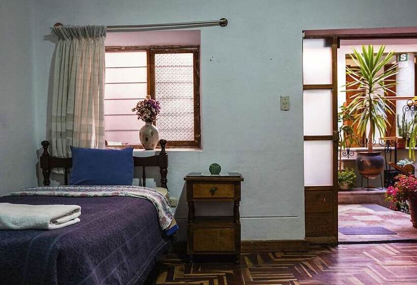هاستل Eco Home View   Guest House