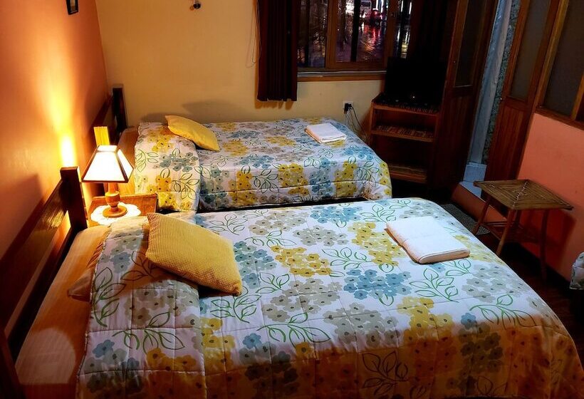 هاستل La Nuit Home