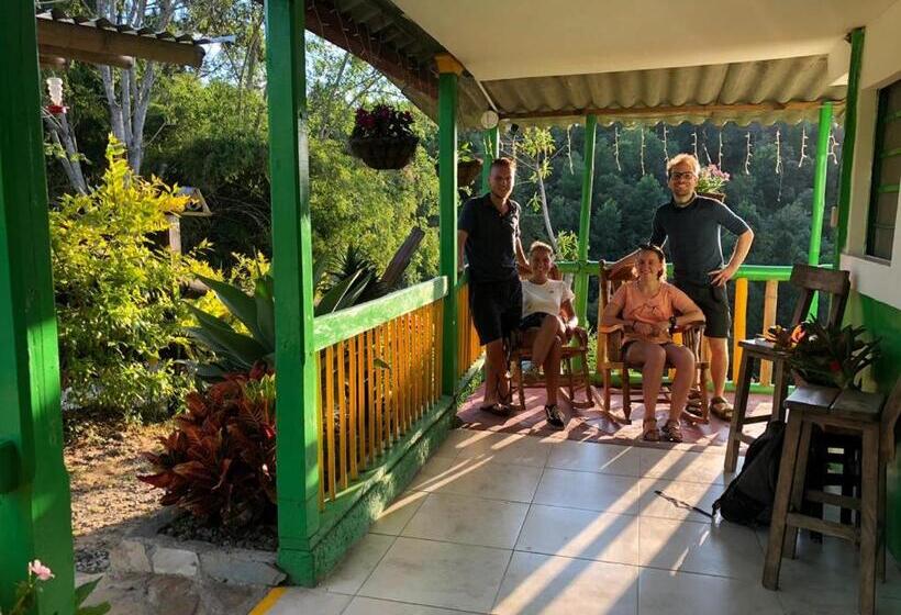 هاستل Hostal Y Camping Los Girasoles
