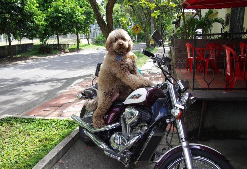 هاستل International House Co Living