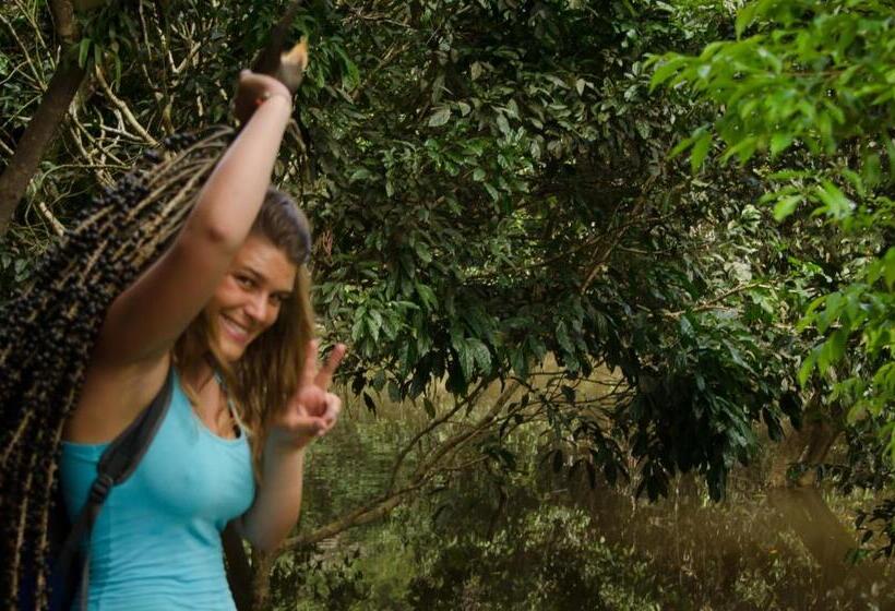 تختخواب و صبحانه Hostel Casa De Las Palmas Tours