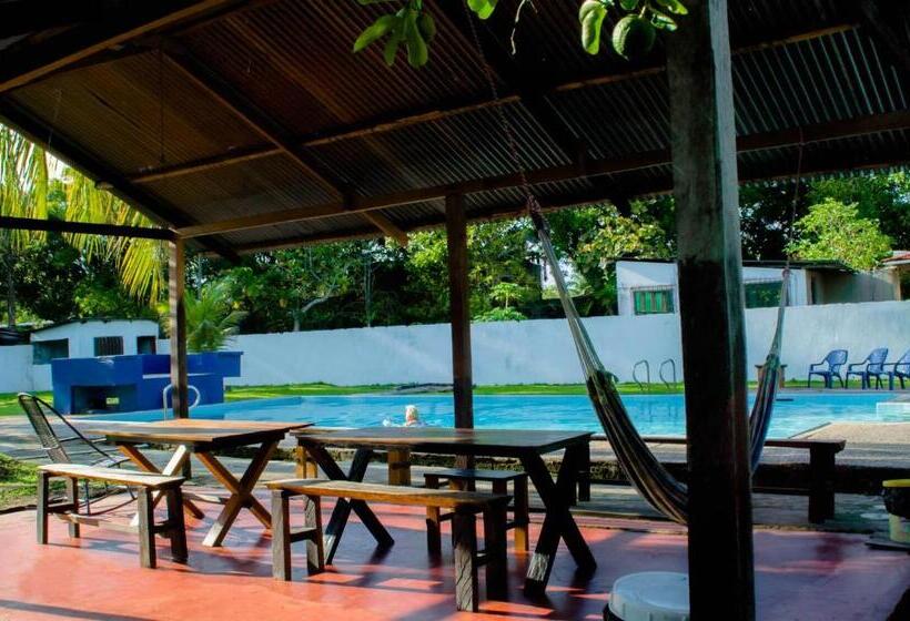 تختخواب و صبحانه Hostel Casa De Las Palmas Tours