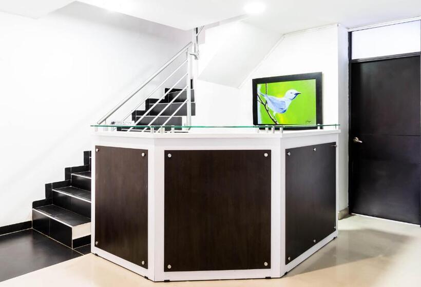 هتل Azulejo Del Llano