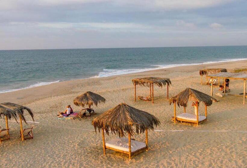 هتل Bamboo Lodge