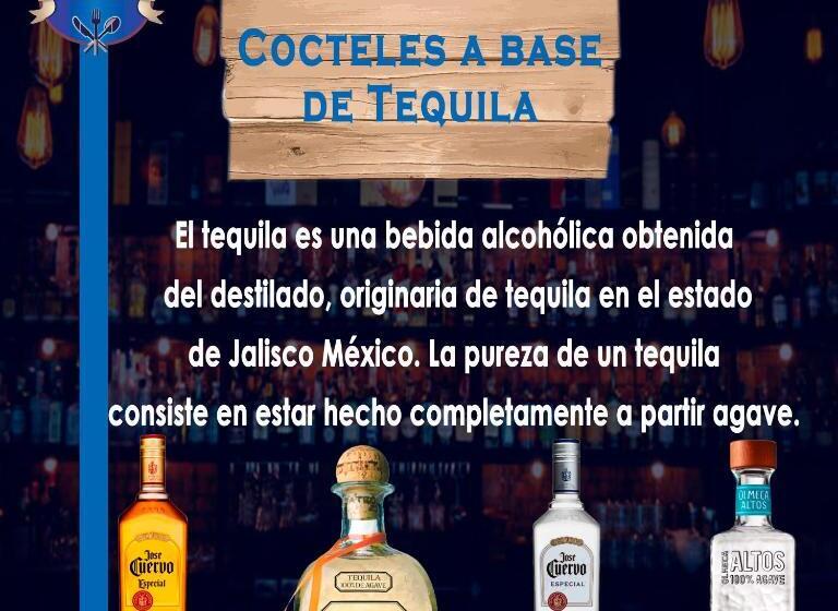 酒店 Barcelona Chinauta