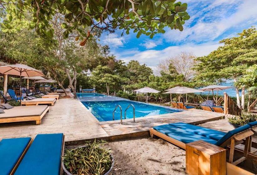 هتل Blue Apple Beach