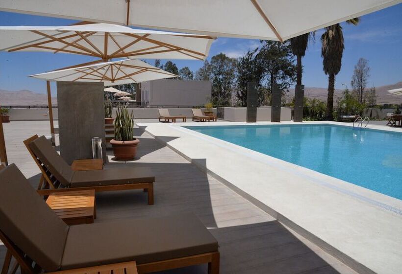 Dm Hoteles Moquegua