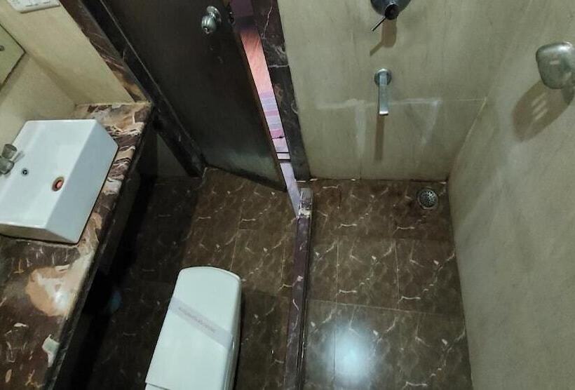 Fotos del hotel Laxmi Villa Palace:  18