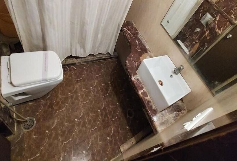 Fotos del hotel Laxmi Villa Palace:  19