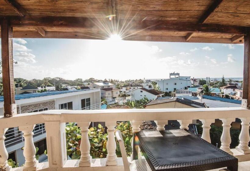 هاستل The Rock House Eco