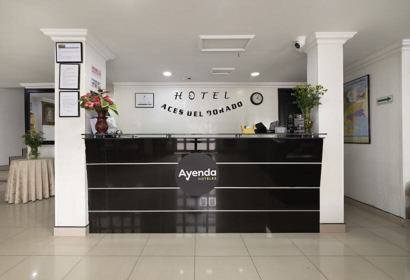 تختخواب و صبحانه Dorado 100