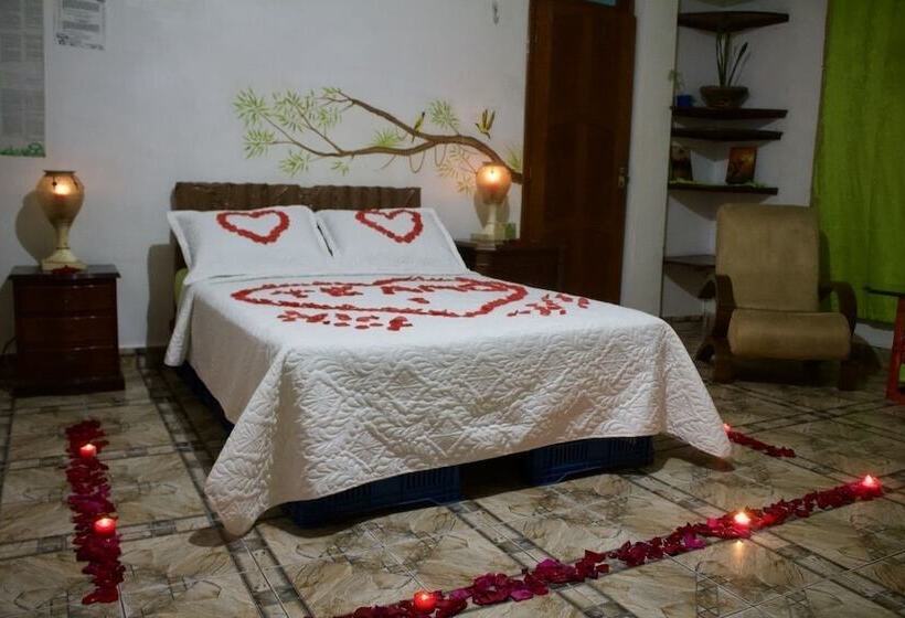 تختخواب و صبحانه Eco Hotel El Refugio De La Floresta