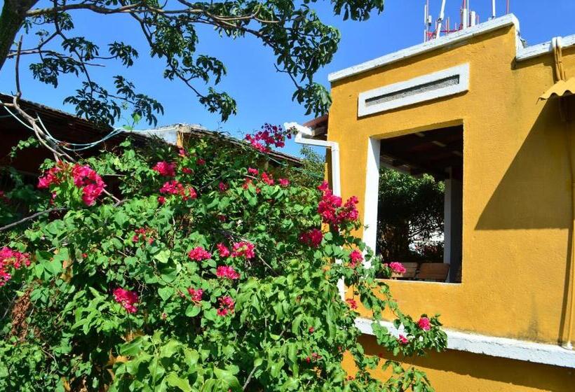 تختخواب و صبحانه Jardin Etnobotanico Villa Ludovica