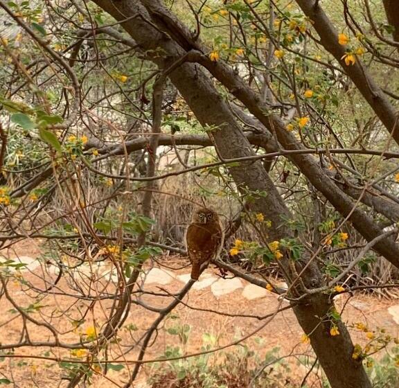 تختخواب و صبحانه Jardin Etnobotanico Villa Ludovica