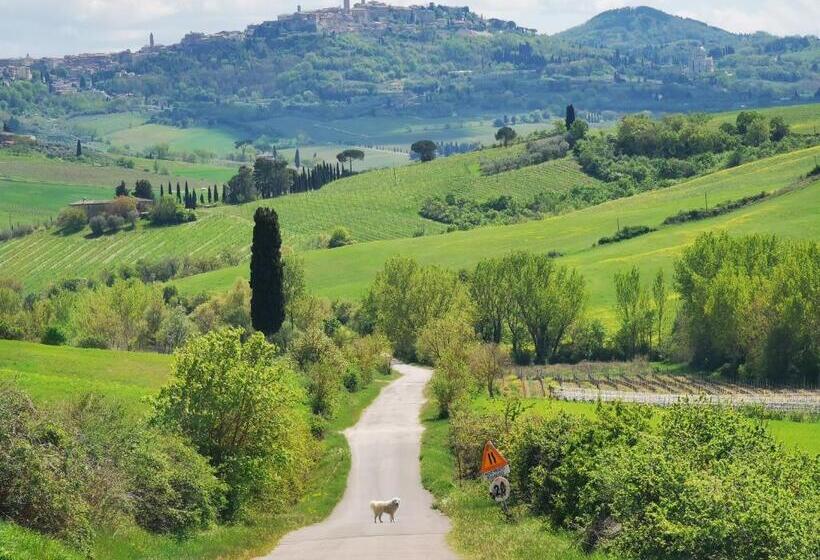호텔 Agriturismo Colle Di Mezzo