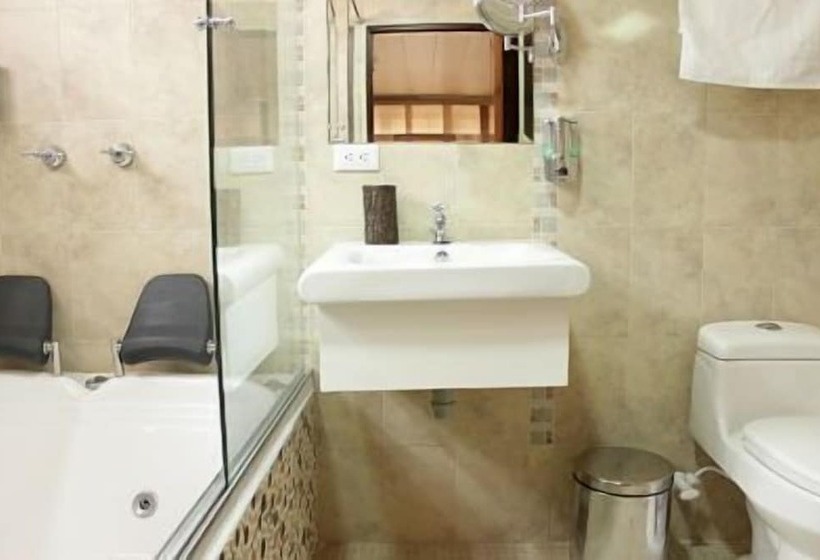 Fotos del hotel Boutique Casa Suiza:  18