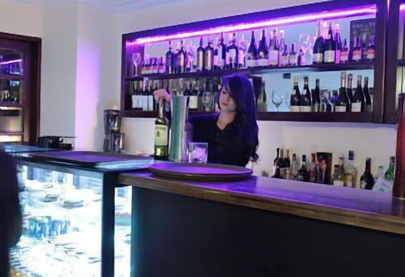 Fotos del hotel Boutique Casa Suiza:  5