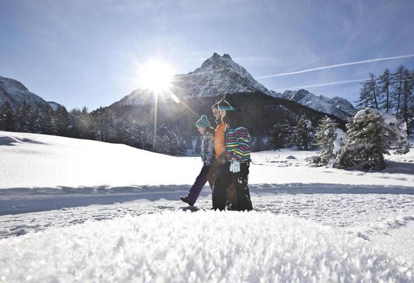هتل Des Alpes