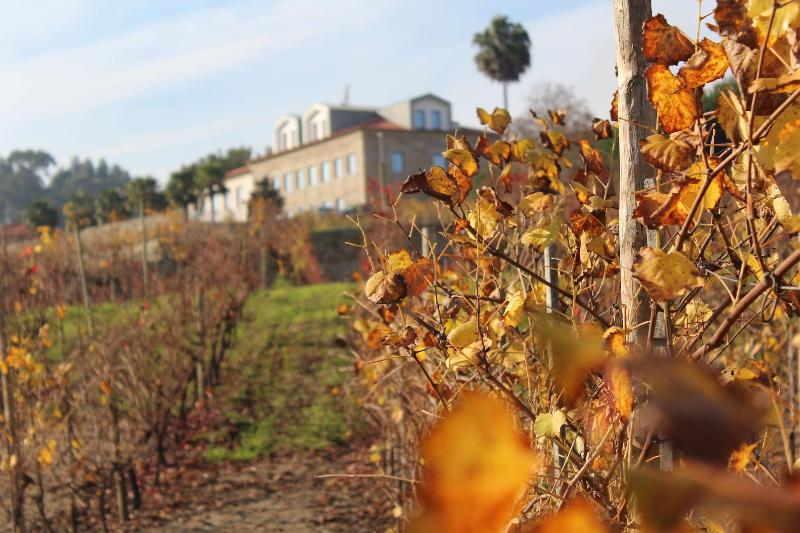 酒店 Rural Quinta Das Quintaes