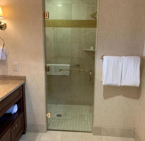 هتل The Towers At Kahler Grand