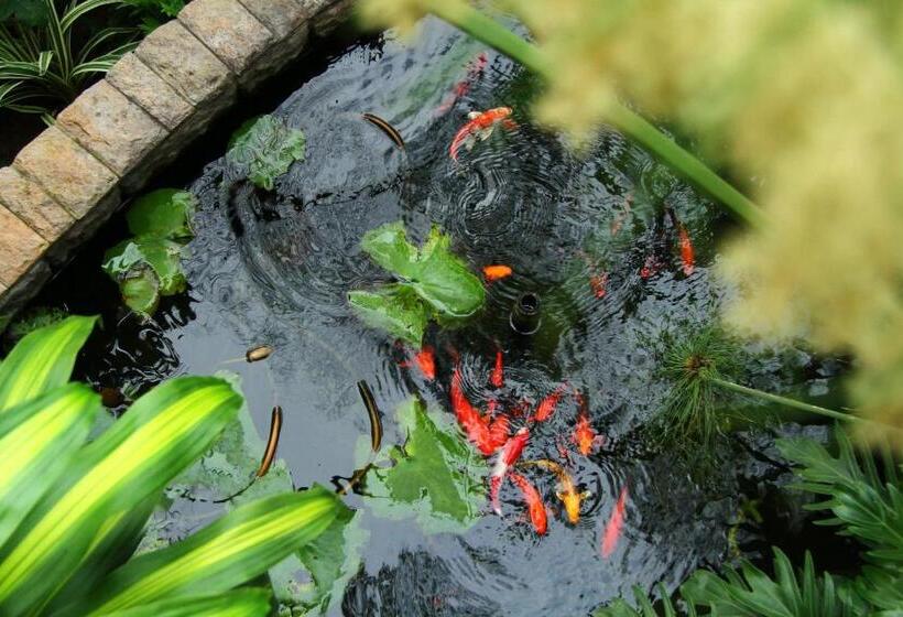 پانسیون Leaves Lodge And Spa