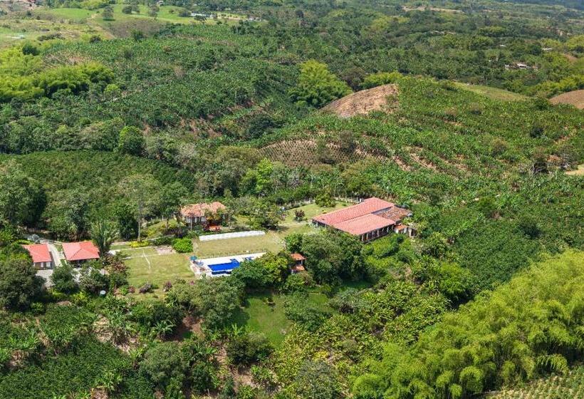 اقامتگاه Finca Hotel Los Girasoles