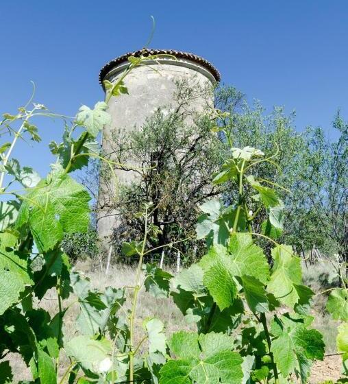 مبيت وإفطار Chateau Pech Céleyran