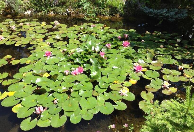 צימר D'un Jour à L'autre
