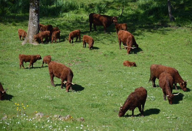 ホテル Hôtel Restaurant Le Rouffillac