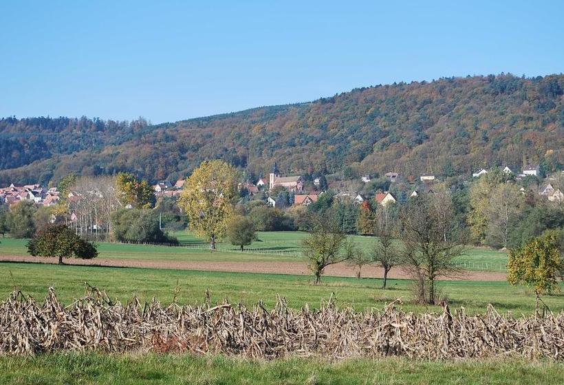 تختخواب و صبحانه Chambres D'hôtes Les Vignes