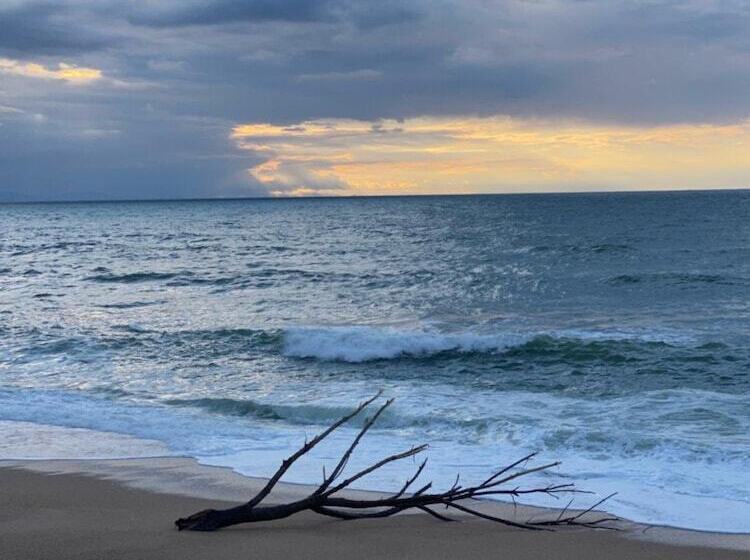 تختخواب و صبحانه Chez Phil Et Dom