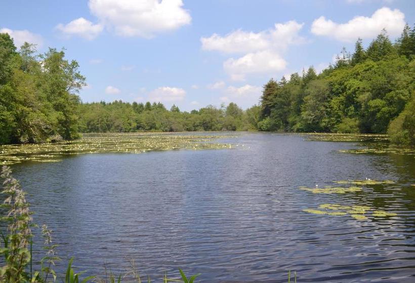 住宿加早餐  L Araucaria   Chambres D Hôtes Et Gîte