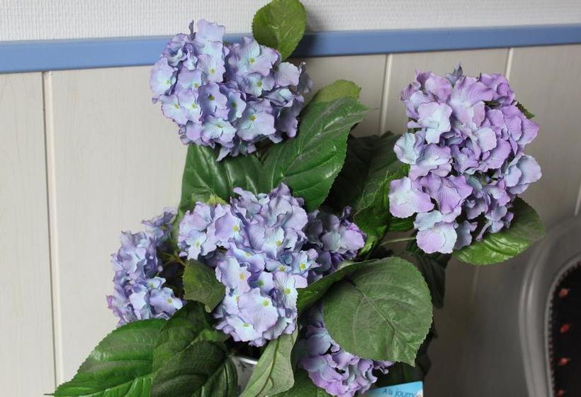تختخواب و صبحانه La Demeure Aux Hortensias