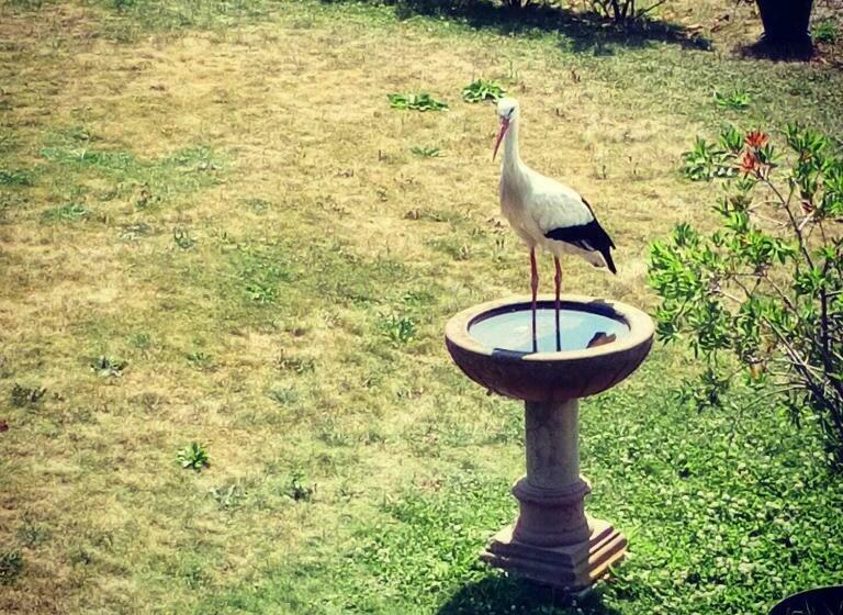 住宿加早餐  Maison D Hotes Sainte Hune Chambres