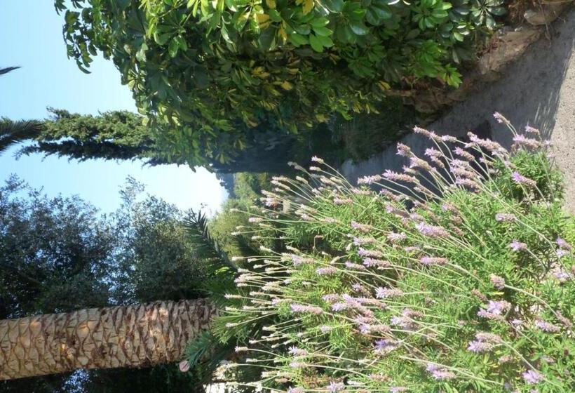تختخواب و صبحانه Castel Enchanté