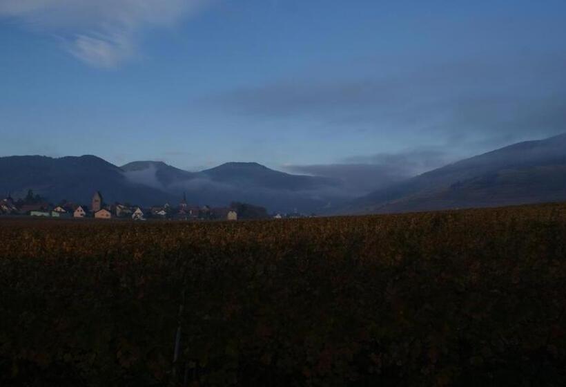 住宿加早餐  Chambre D'hotes Le Vogelgarten