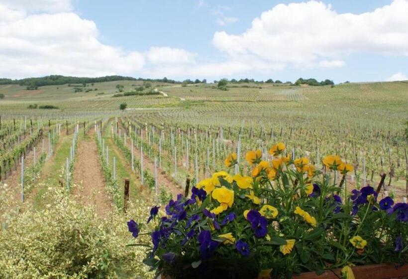 住宿加早餐  Chambre D'hotes Le Vogelgarten