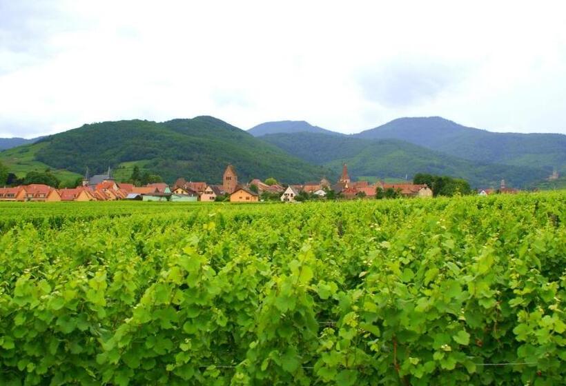 住宿加早餐  Chambre D'hotes Le Vogelgarten