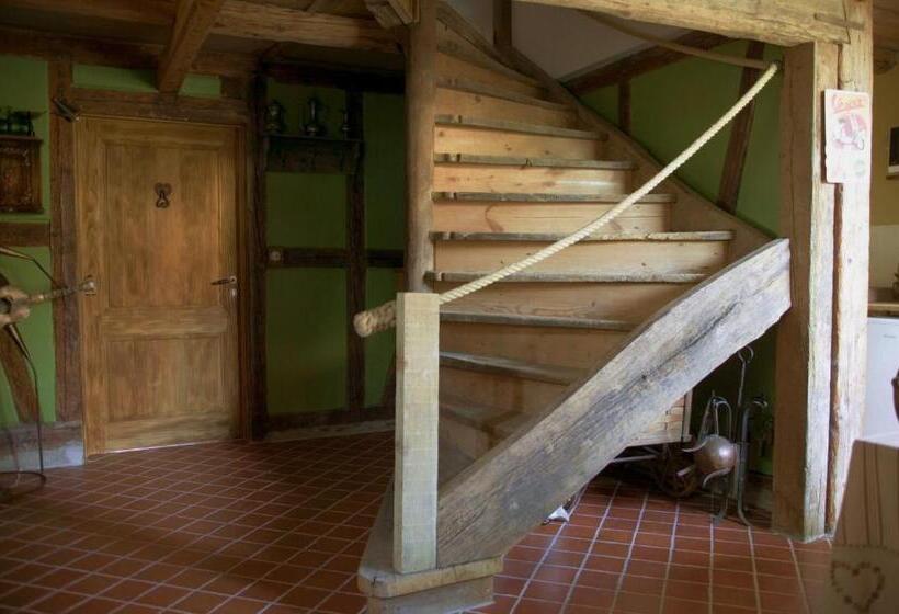 تختخواب و صبحانه Chambres D Hôtes La Stoob Strasbourg Sud