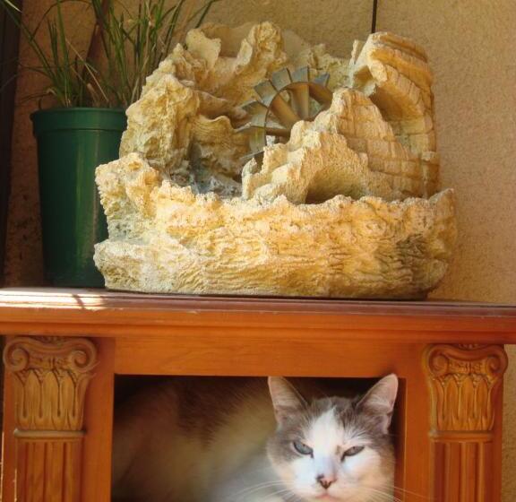 مبيت وإفطار Chambres D Hôtes Les Palmiers De La Cité