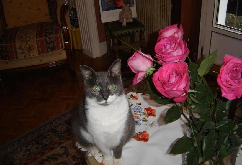 住宿加早餐  Chambres D Hôtes Ty Mezad