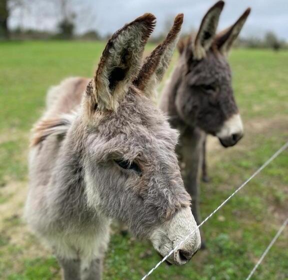 צימר Domaine La Sauzette