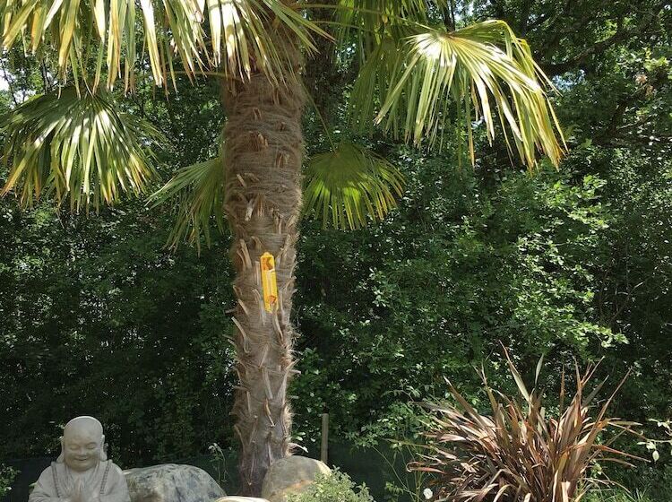 مبيت وإفطار La Forestière